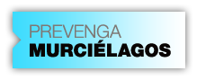 Prevenga Murciélagos