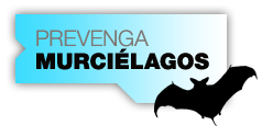Prevenga Murciélagos