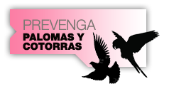 Prevenga palomas, cotorras y otras aves